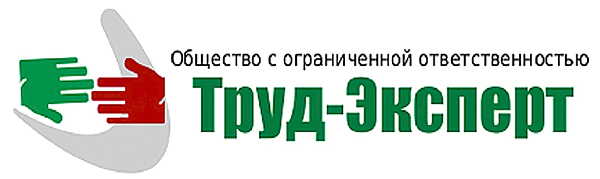 SDO TrudExpert